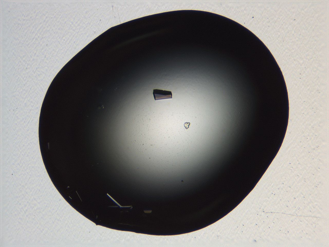 06i0_E8_ImagerDefaults_9.jpg