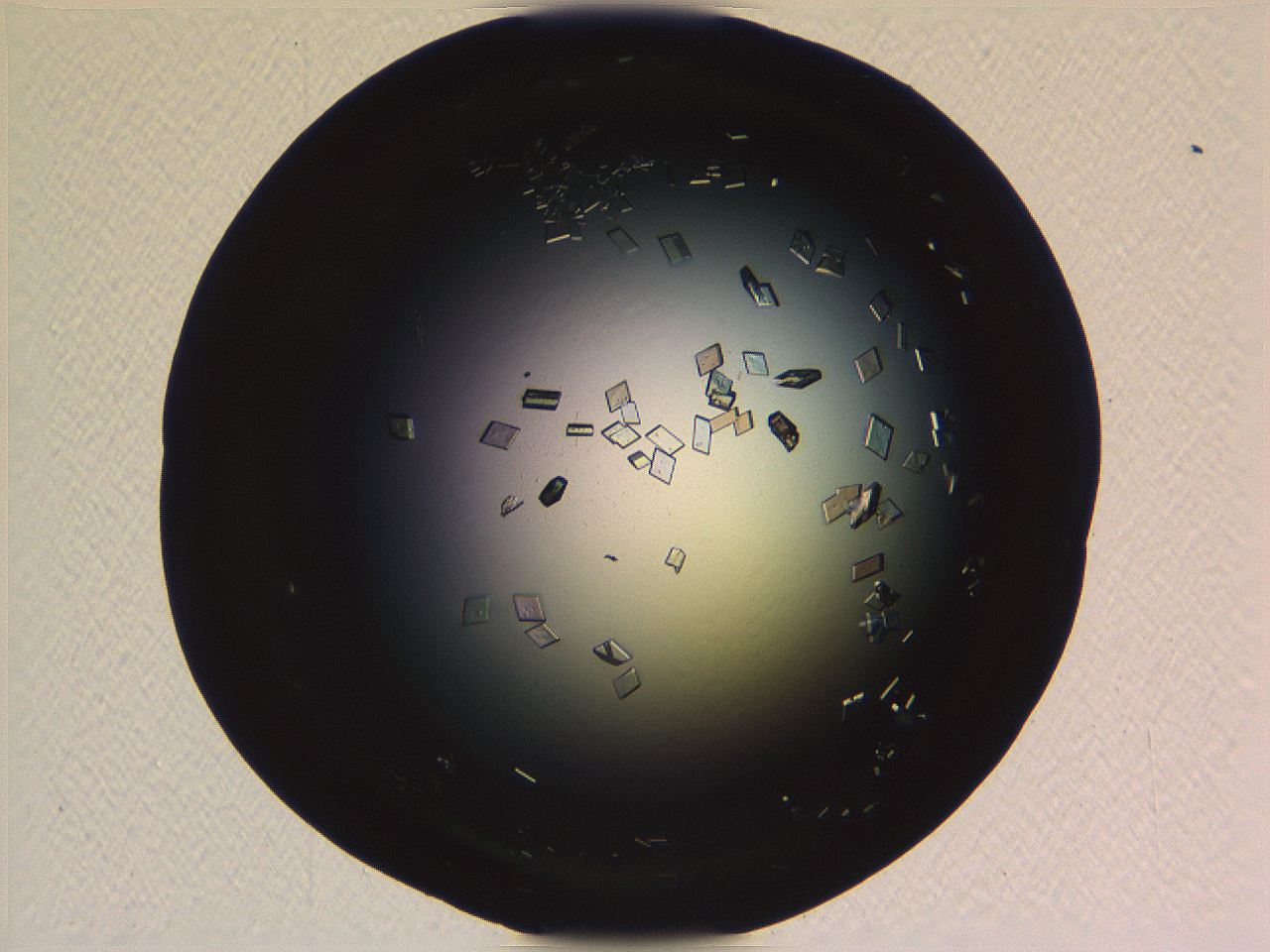 06i0_E9_ImagerDefaults_9.jpg
