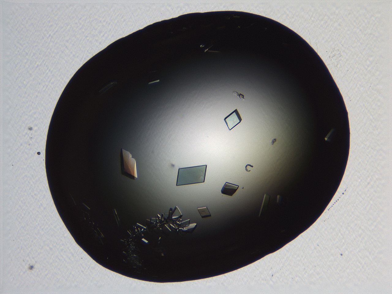 06i0_E10_ImagerDefaults_9.jpg