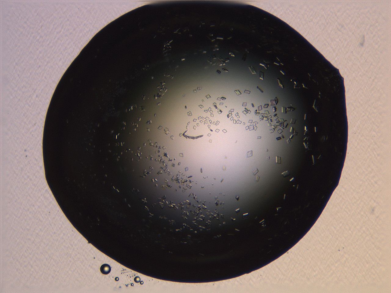 06i0_E11_ImagerDefaults_9.jpg