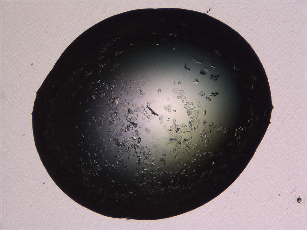 06i0_E12_ImagerDefaults_9.jpg