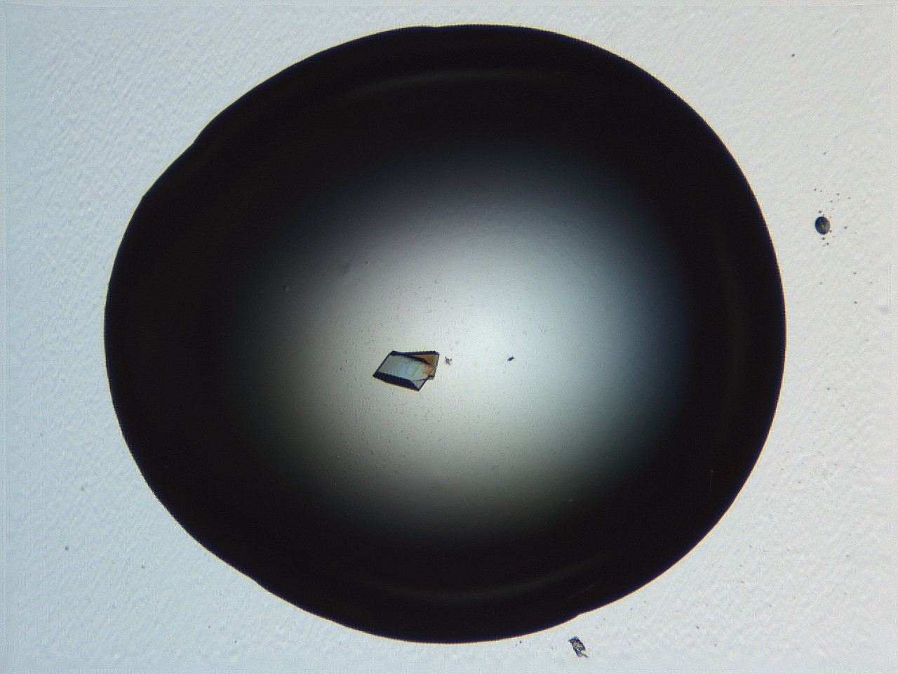 06i0_F6_ImagerDefaults_9.jpg