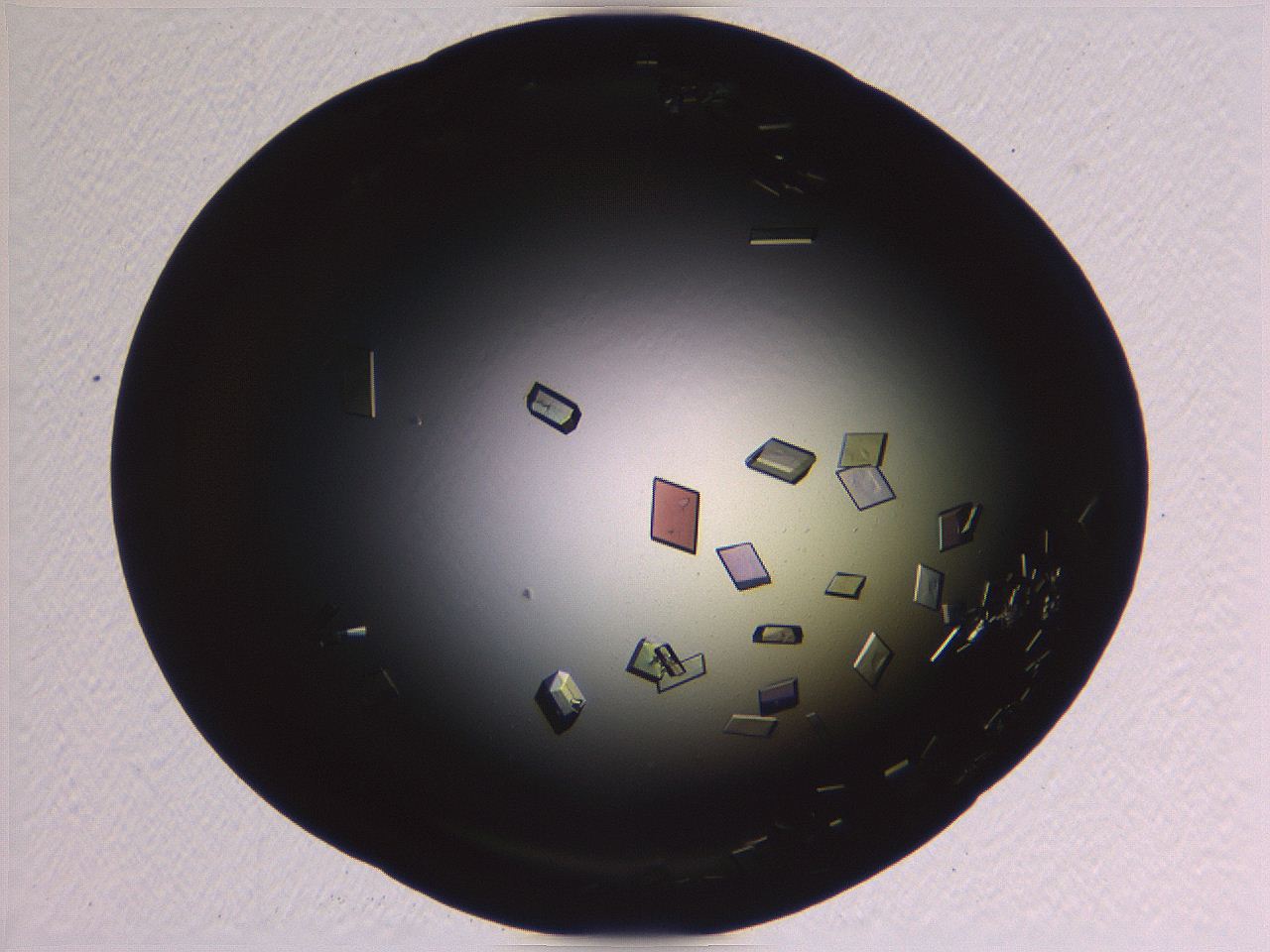 06i0_F9_ImagerDefaults_9.jpg