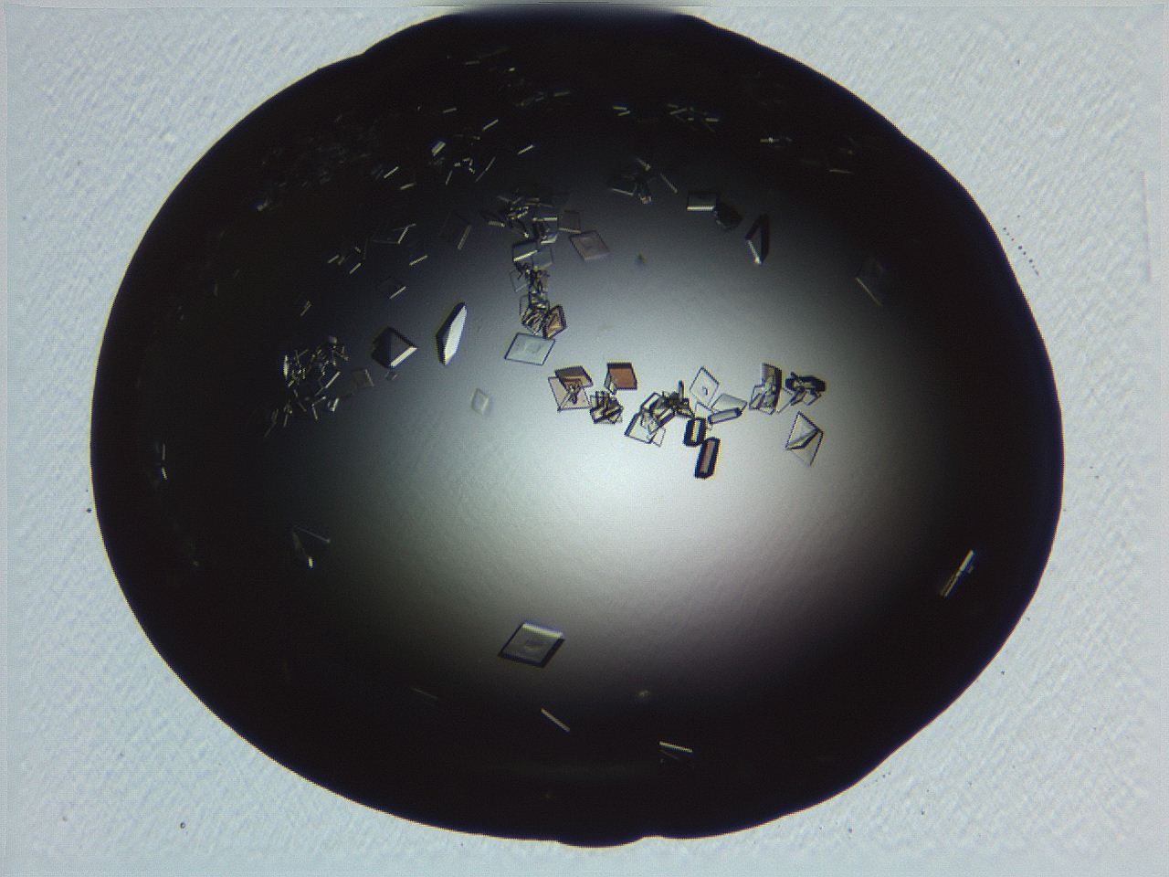 06i0_F10_ImagerDefaults_9.jpg