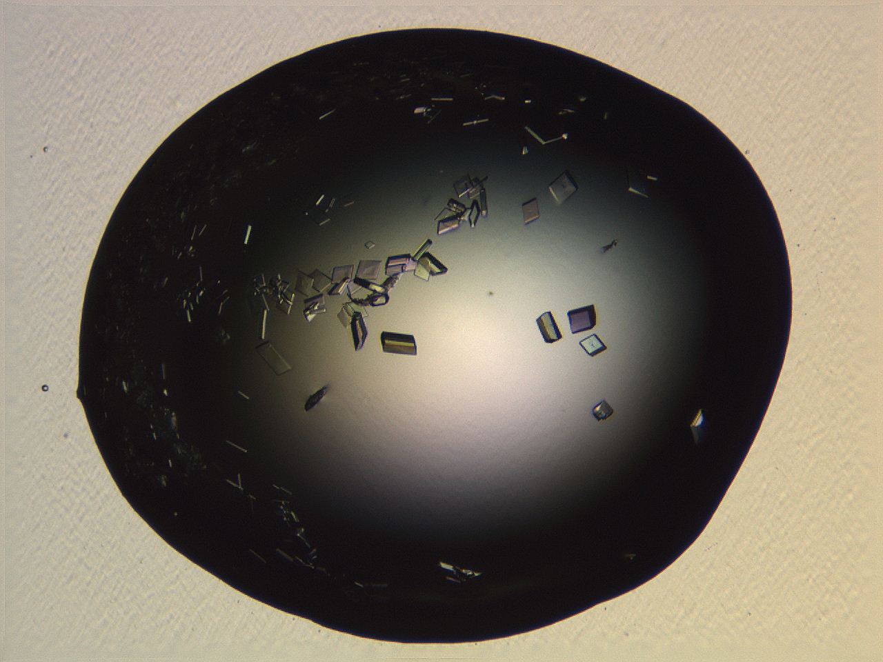 06i0_F11_ImagerDefaults_9.jpg