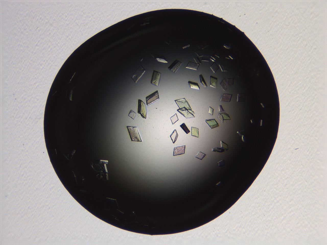 06i0_G4_ImagerDefaults_9.jpg