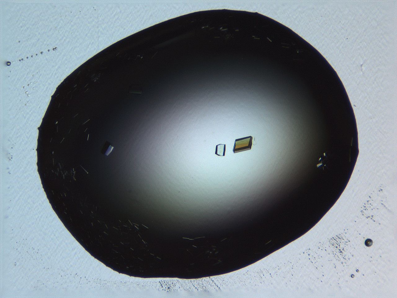 06i0_G9_ImagerDefaults_9.jpg