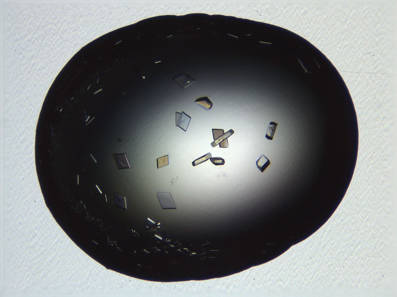06i0_G10_ImagerDefaults_9.jpg