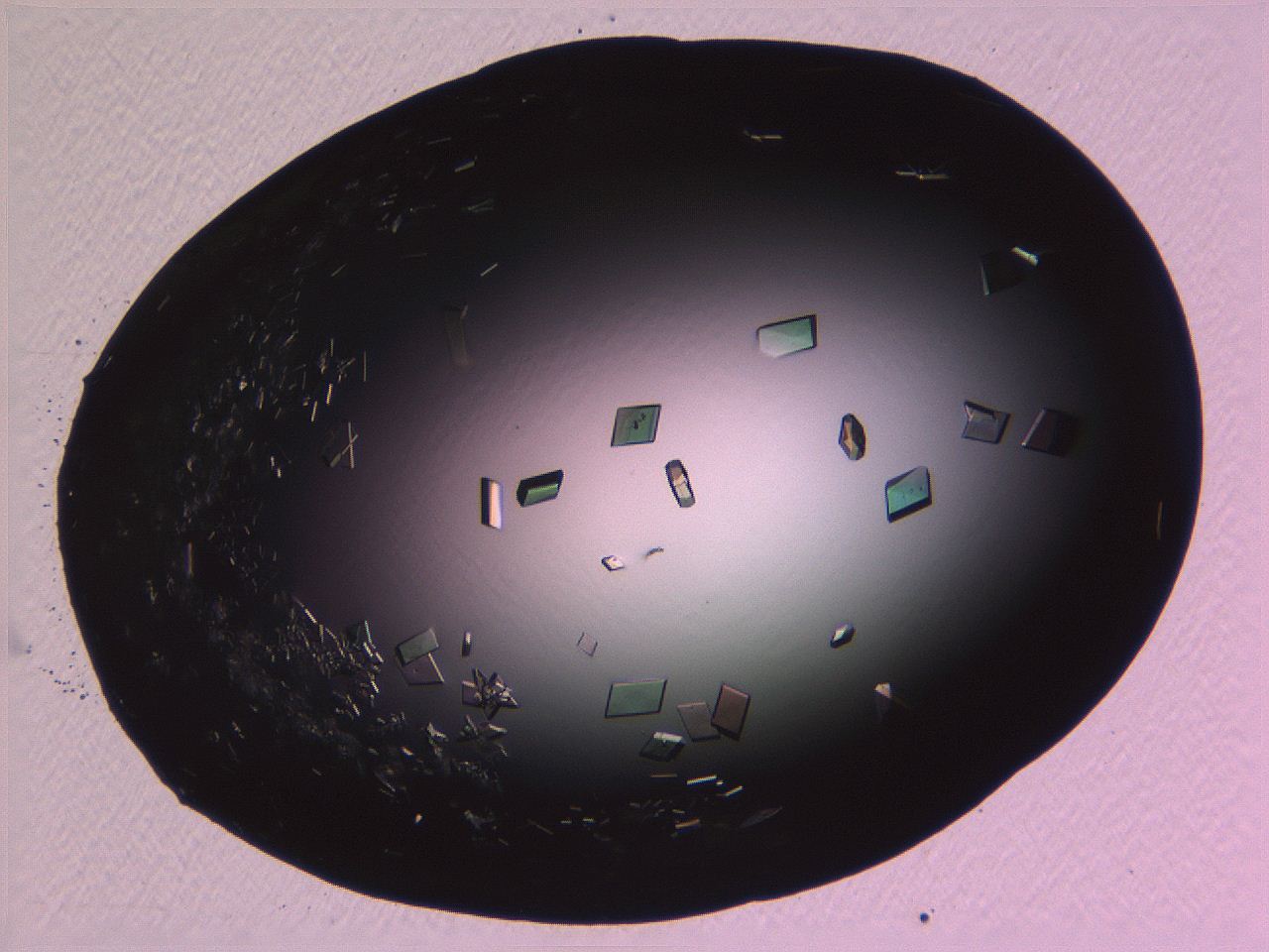 06i0_G11_ImagerDefaults_9.jpg