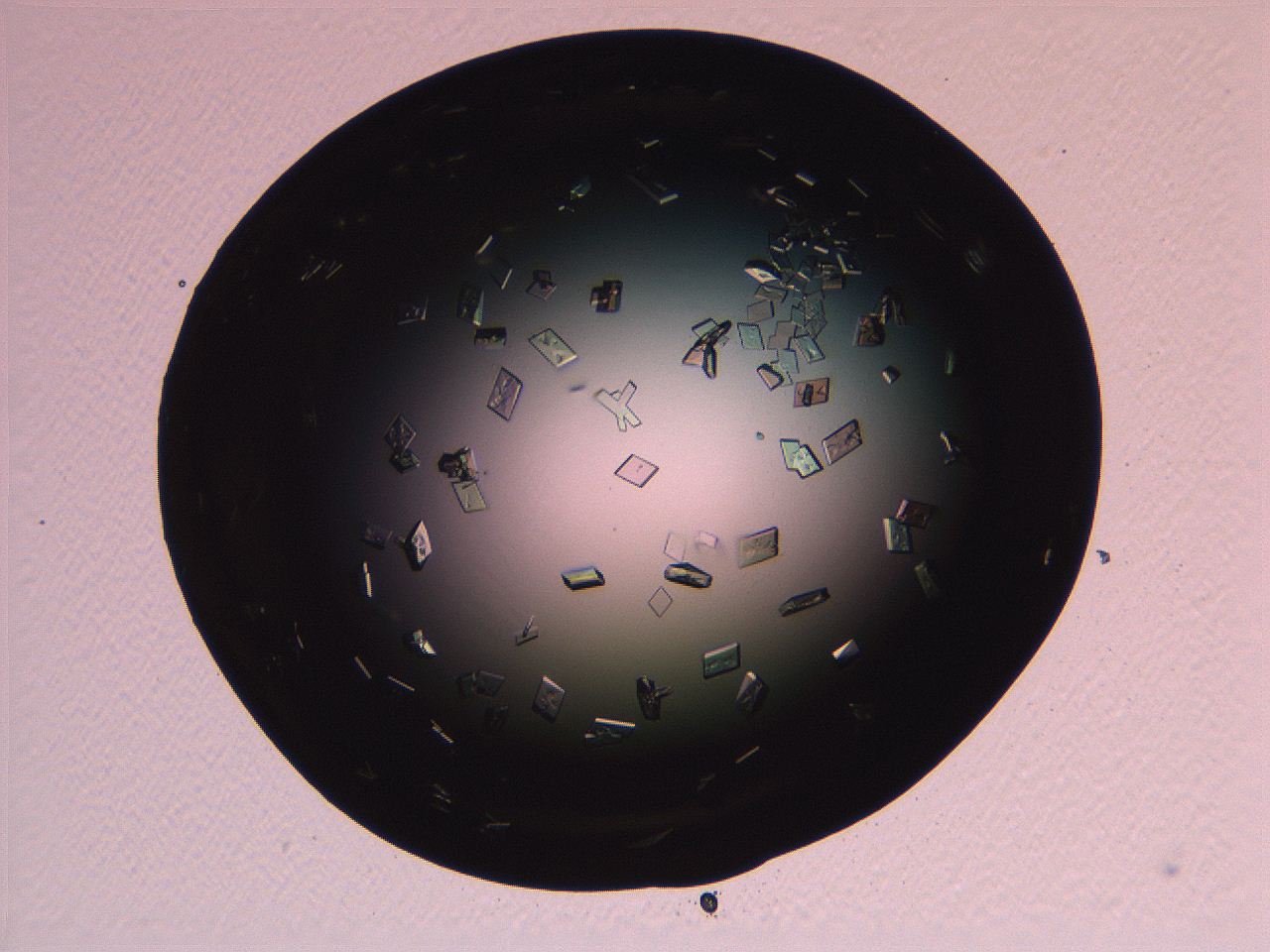 06i0_G12_ImagerDefaults_9.jpg