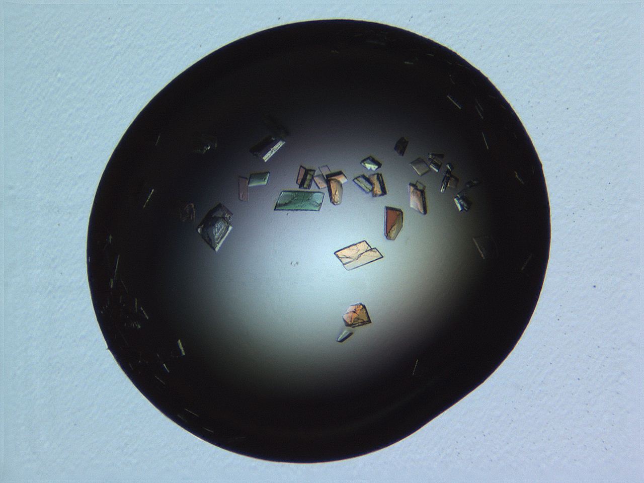 06i0_H3_ImagerDefaults_9.jpg