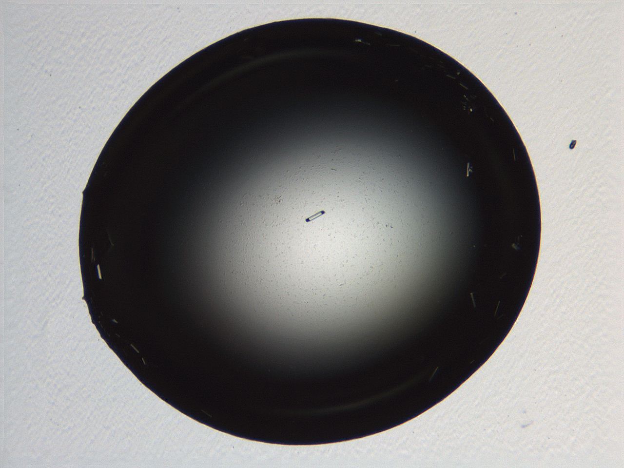 06i0_H4_ImagerDefaults_9.jpg