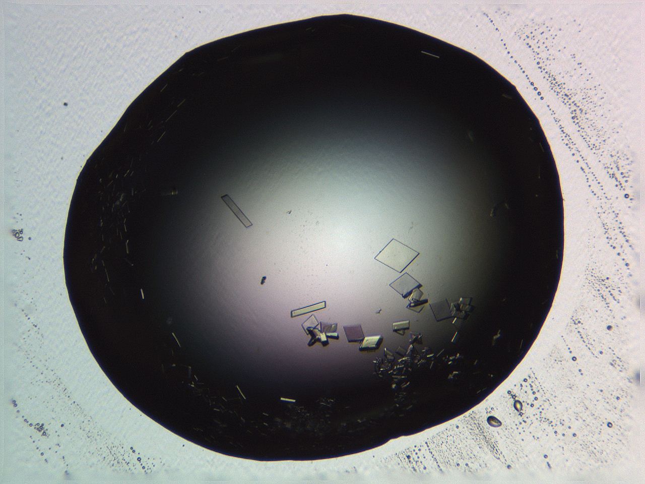 06i0_H8_ImagerDefaults_9.jpg