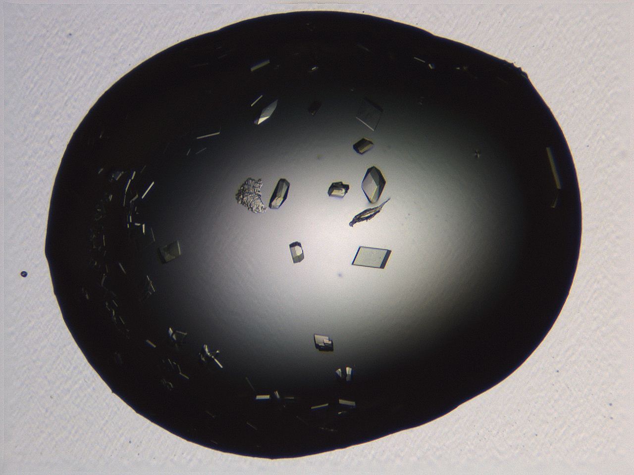 06i0_H10_ImagerDefaults_9.jpg