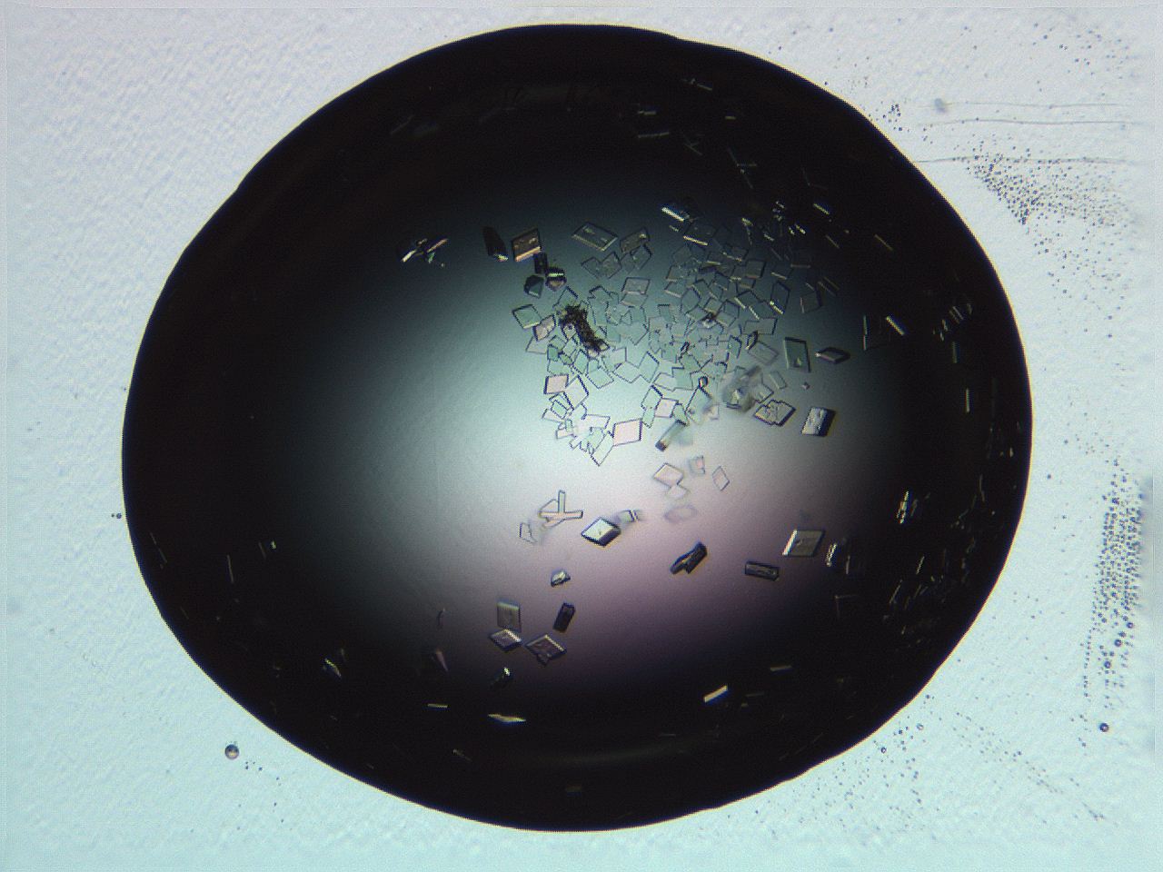 06i0_H12_ImagerDefaults_9.jpg