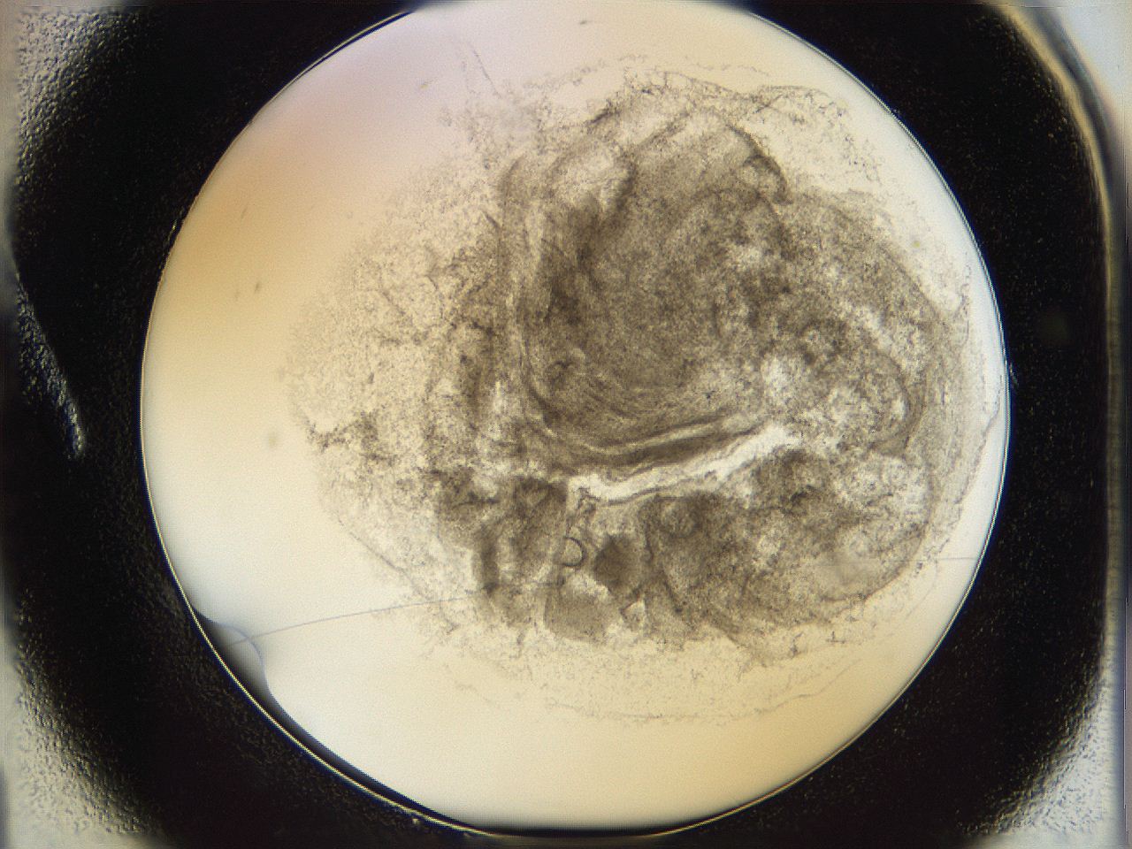 06i1_A1_ImagerDefaults_3.jpg