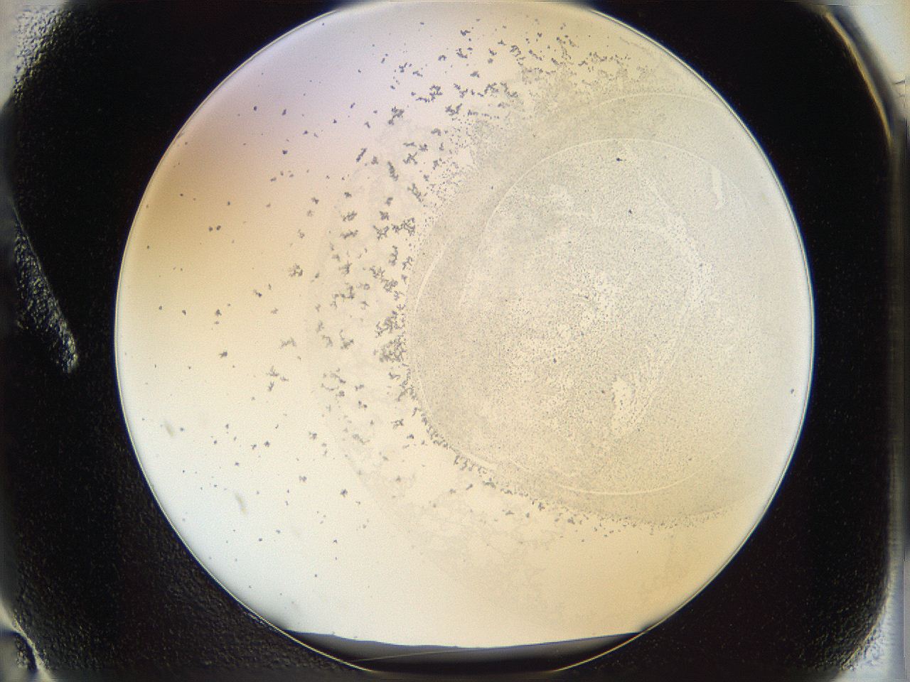 06i1_A2_ImagerDefaults_5.jpg