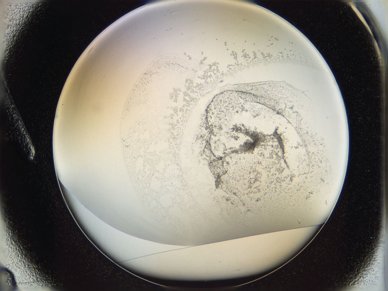 06i1_A3_ImagerDefaults_3.jpg
