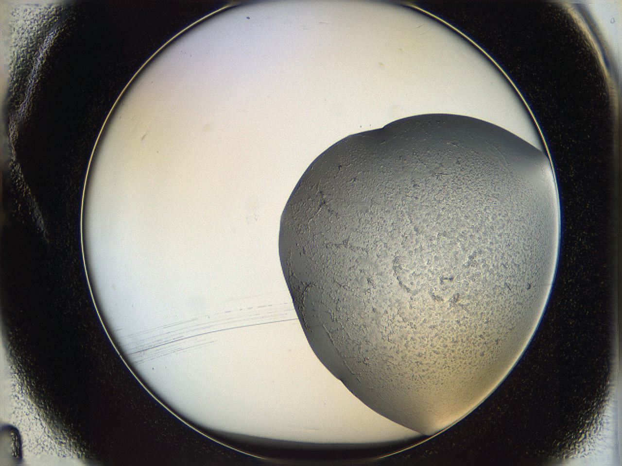 06i1_A4_ImagerDefaults_5.jpg
