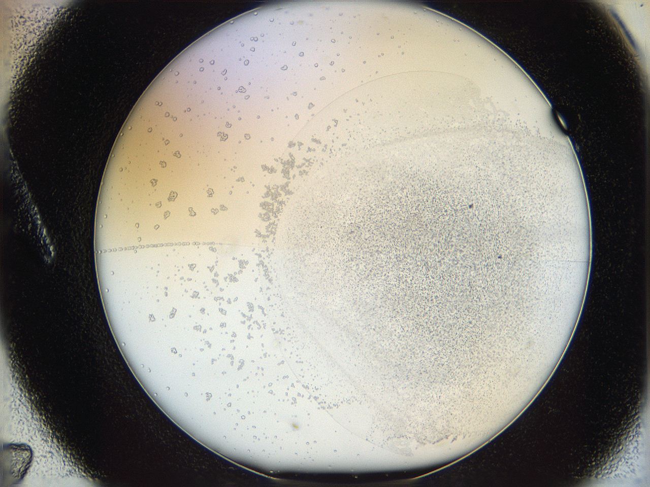 06i1_A7_ImagerDefaults_5.jpg