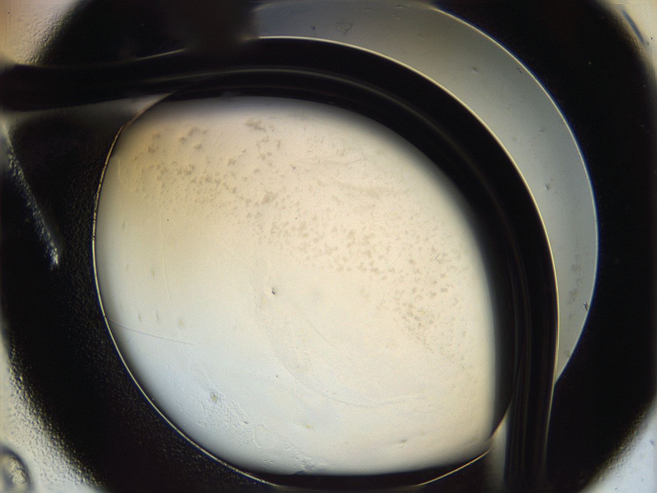 06i1_A8_ImagerDefaults_5.jpg