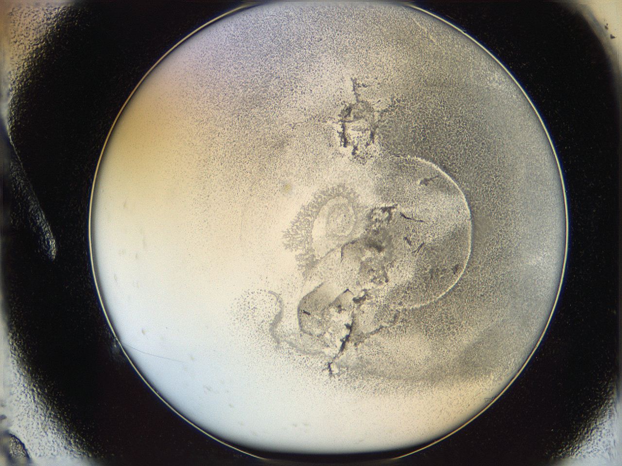06i1_A9_ImagerDefaults_3.jpg