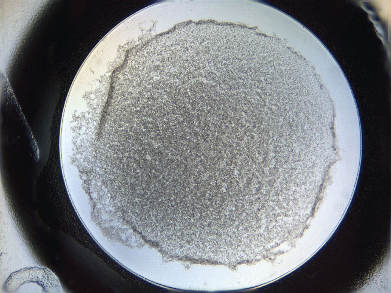 06i1_A12_ImagerDefaults_3.jpg