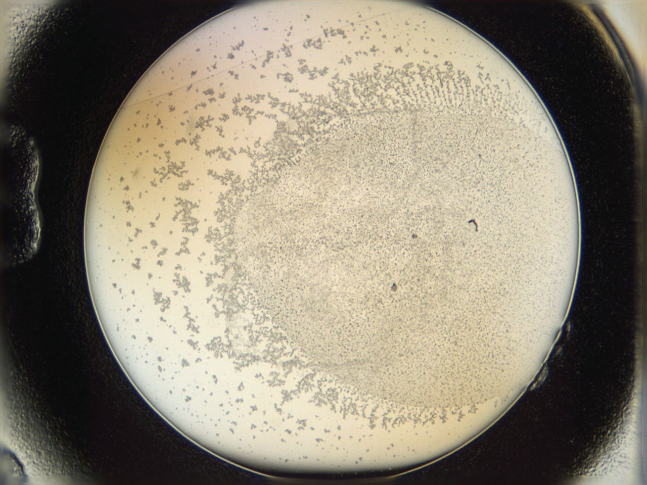 06i1_B2_ImagerDefaults_5.jpg