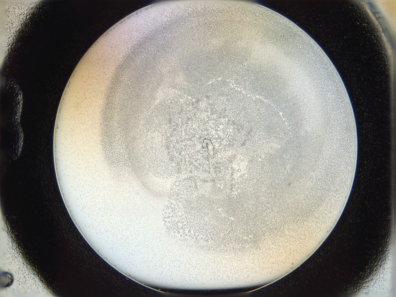 06i1_B5_ImagerDefaults_5.jpg