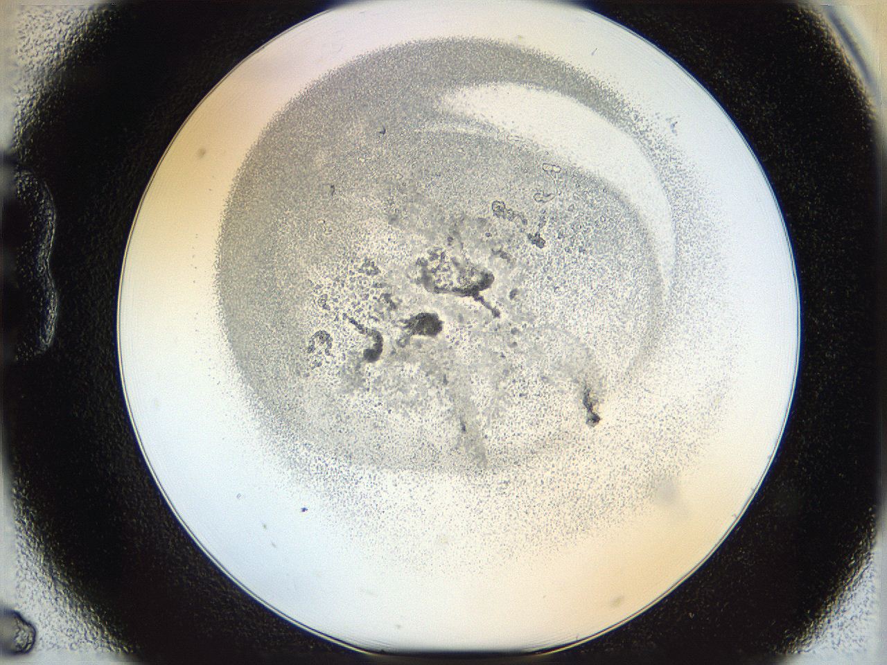 06i1_B6_ImagerDefaults_5.jpg