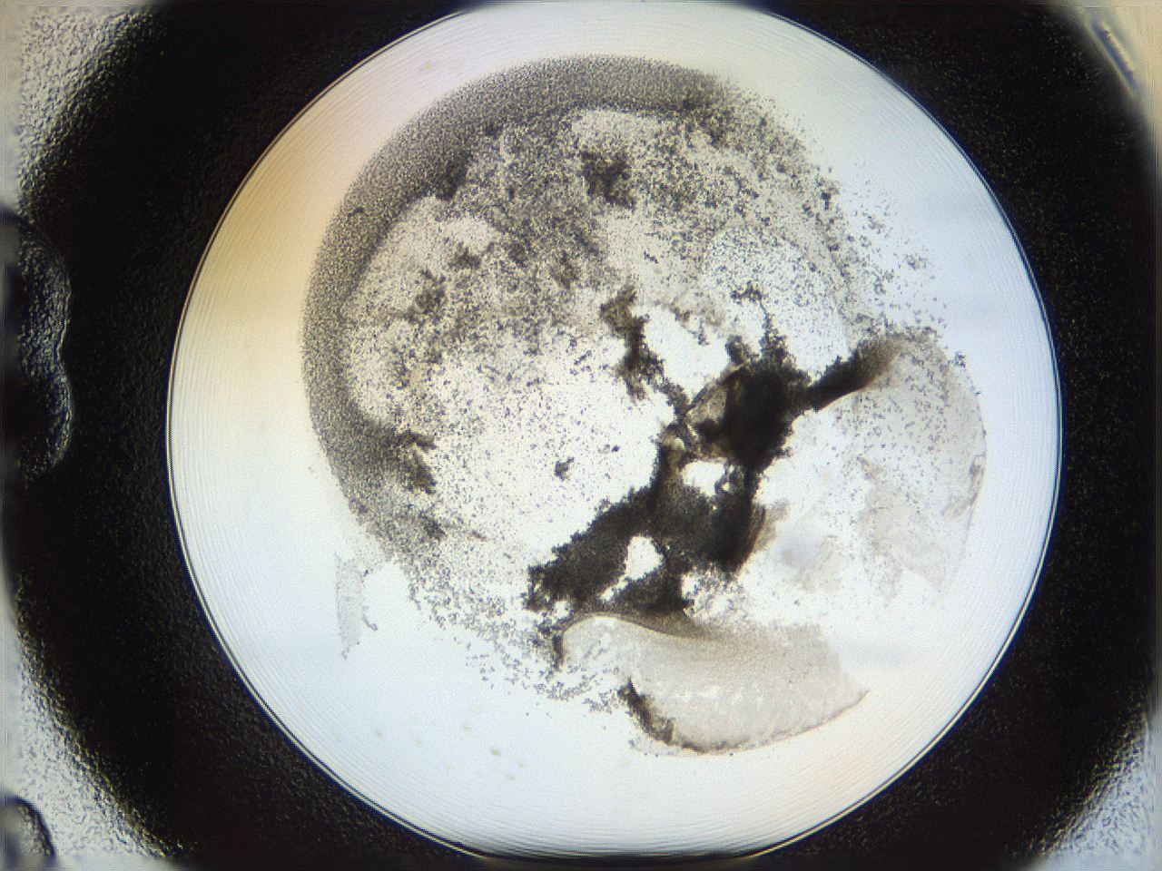 06i1_B8_ImagerDefaults_3.jpg