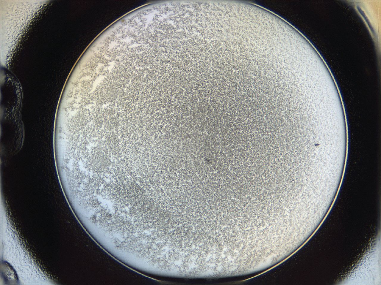 06i1_B9_ImagerDefaults_3.jpg
