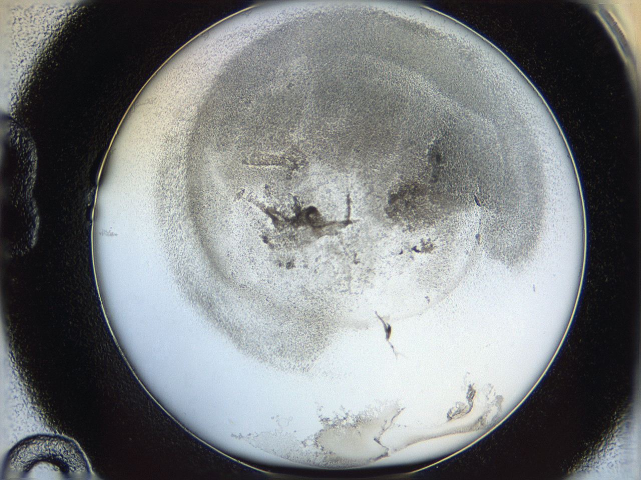 06i1_B10_ImagerDefaults_3.jpg