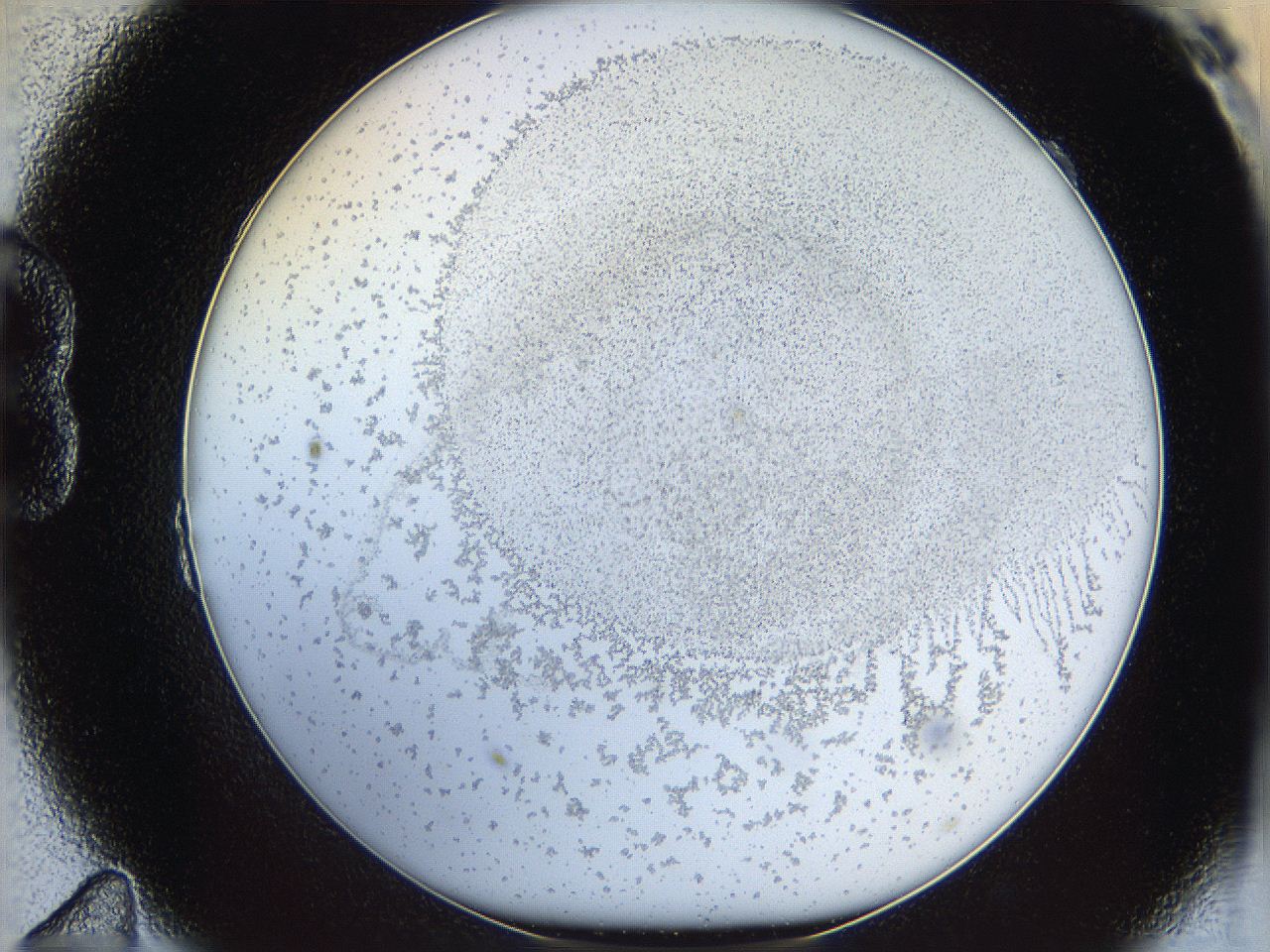 06i1_B11_ImagerDefaults_5.jpg
