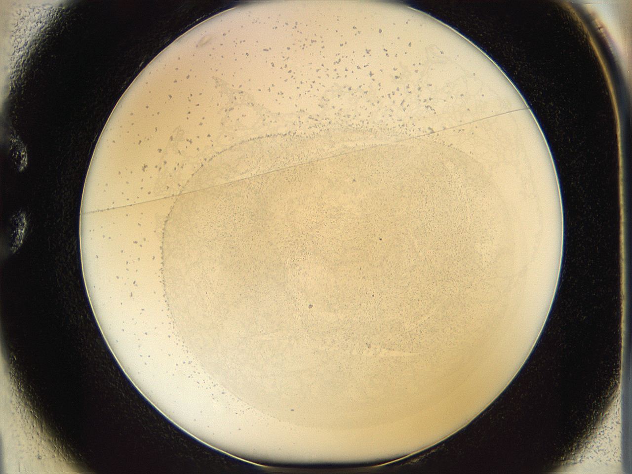 06i1_C1_ImagerDefaults_2.jpg