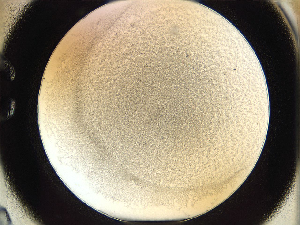 06i1_C2_ImagerDefaults_3.jpg