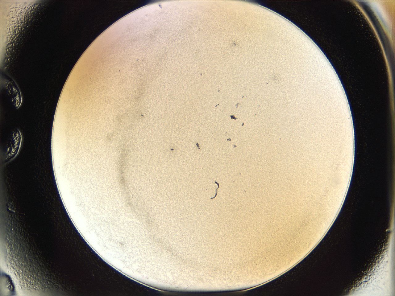 06i1_C3_ImagerDefaults_3.jpg
