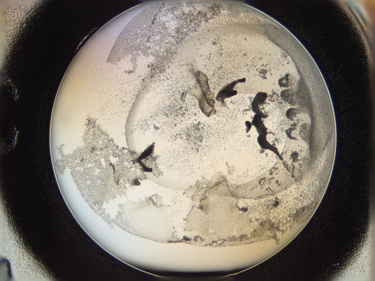 06i1_C4_ImagerDefaults_3.jpg