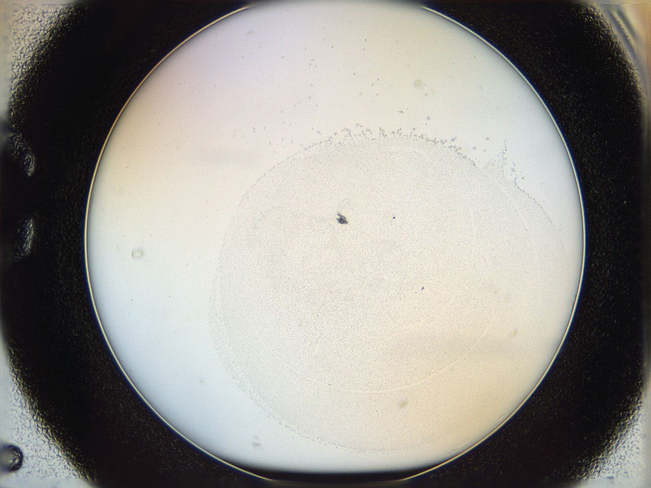 06i1_C5_ImagerDefaults_2.jpg