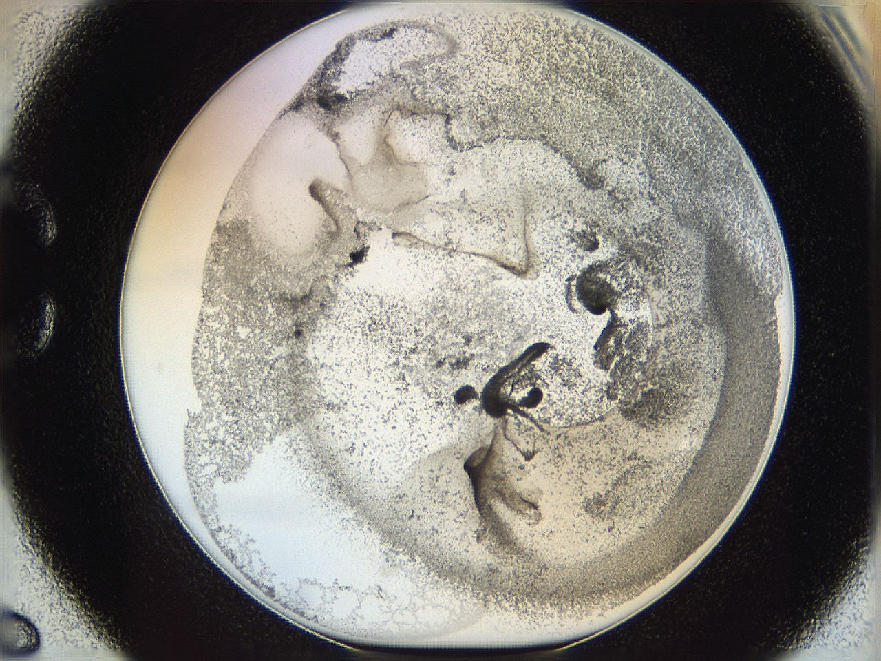 06i1_C6_ImagerDefaults_3.jpg