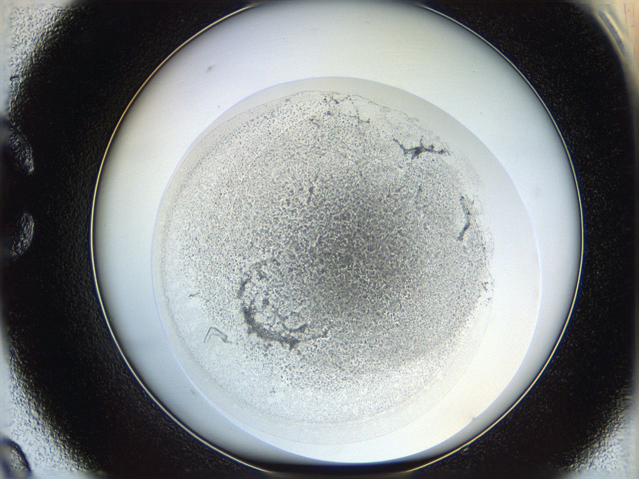 06i1_C9_ImagerDefaults_3.jpg