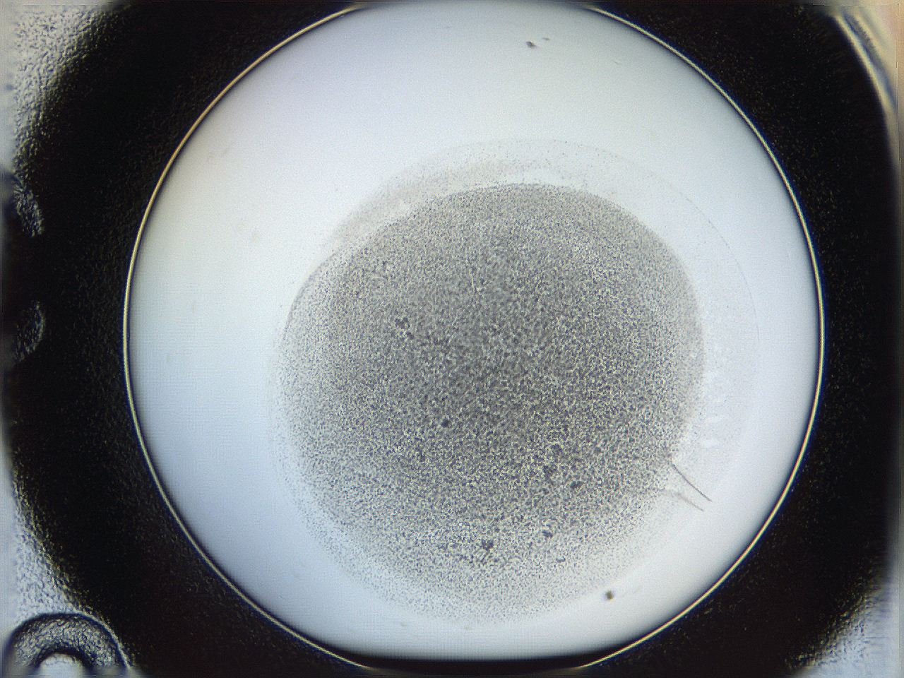 06i1_C10_ImagerDefaults_3.jpg
