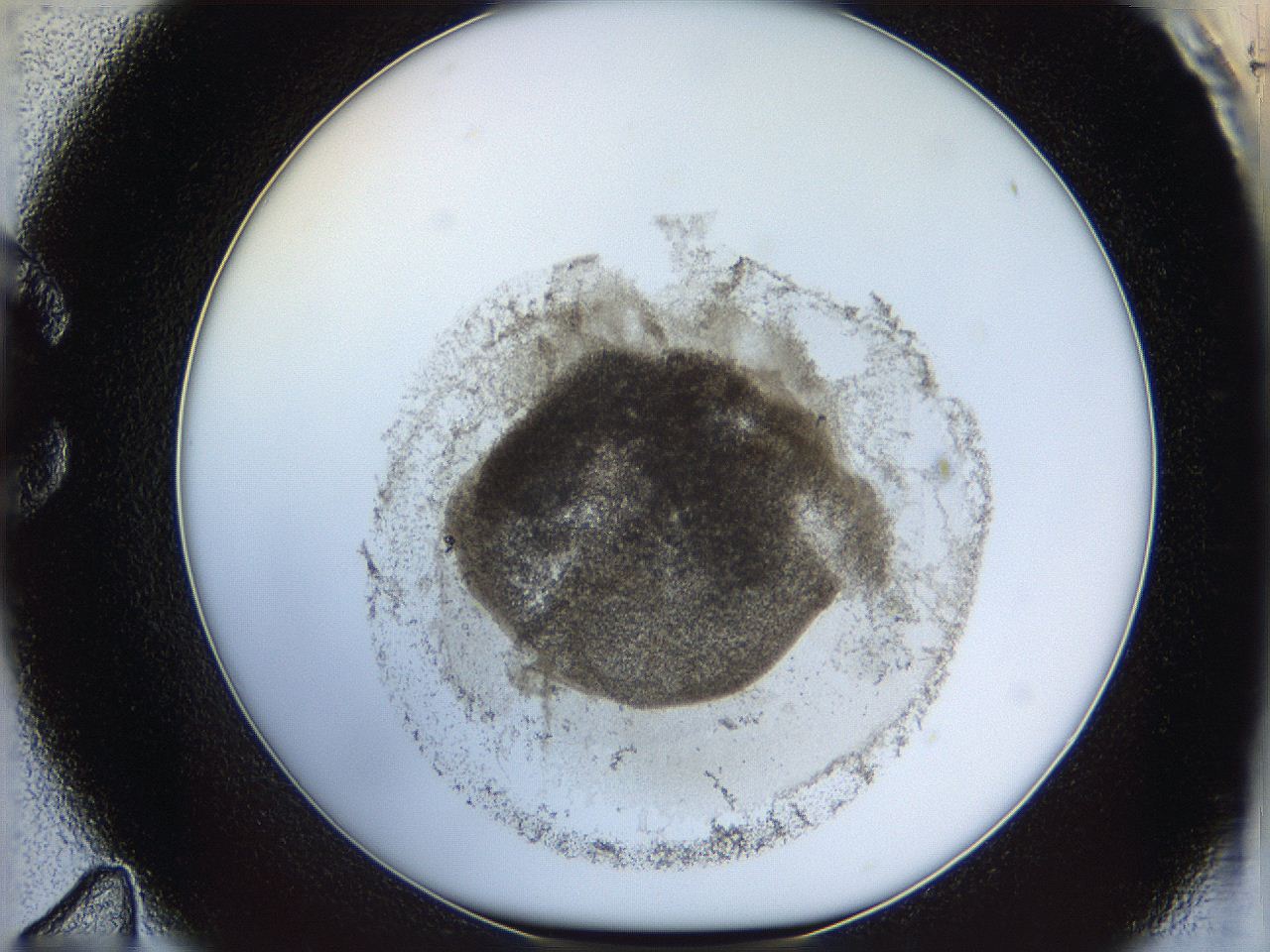 06i1_C11_ImagerDefaults_3.jpg