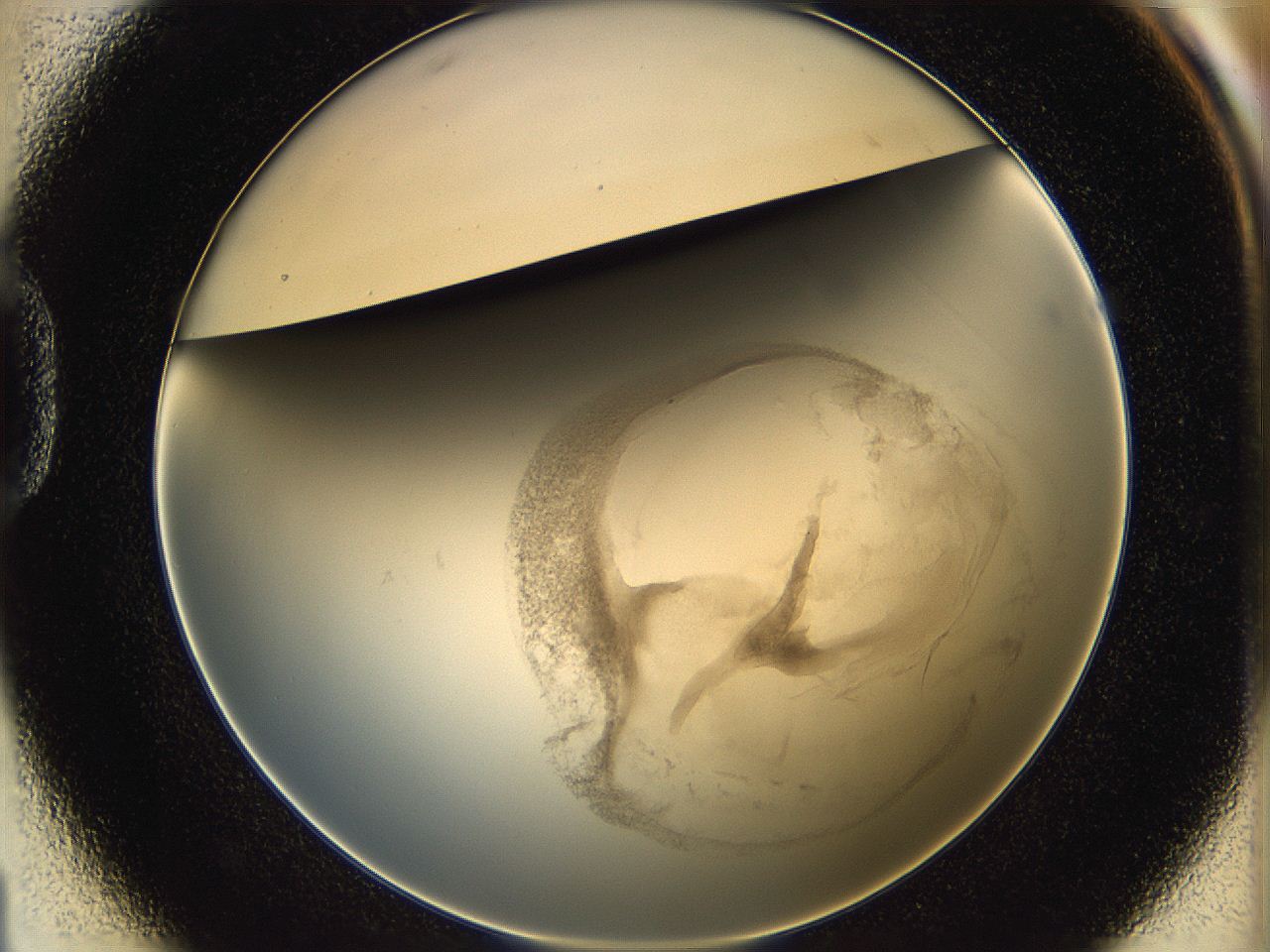06i1_D1_ImagerDefaults_3.jpg