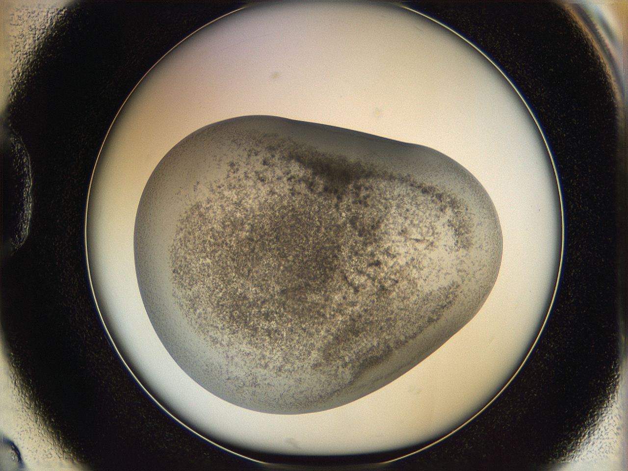 06i1_D2_ImagerDefaults_3.jpg