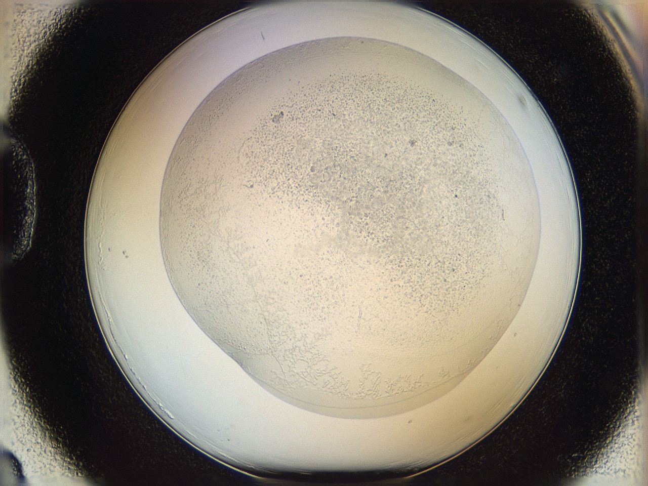 06i1_D3_ImagerDefaults_2.jpg