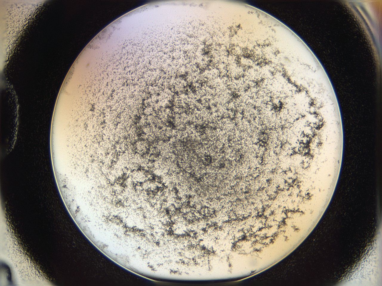 06i1_D4_ImagerDefaults_3.jpg