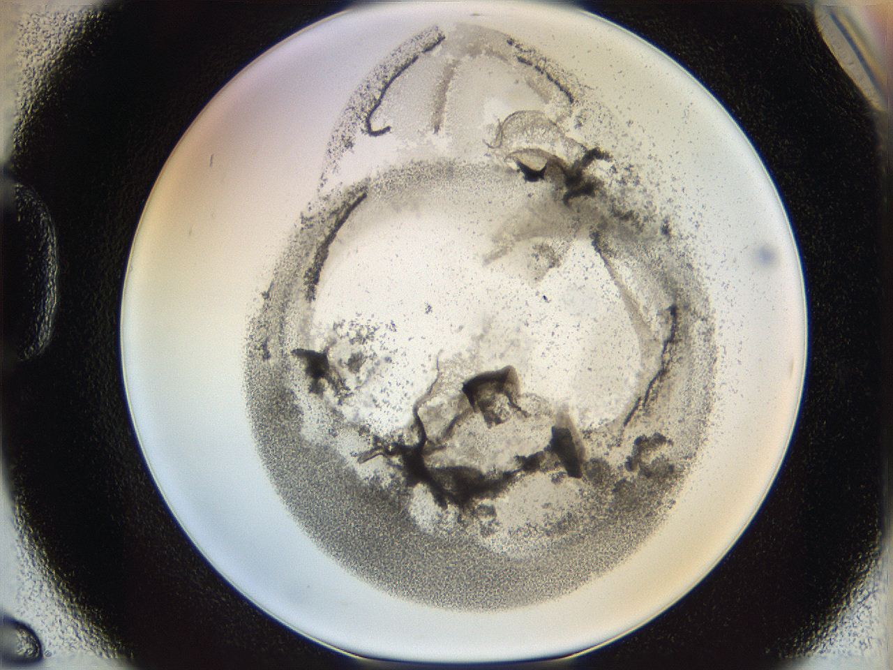 06i1_D6_ImagerDefaults_3.jpg