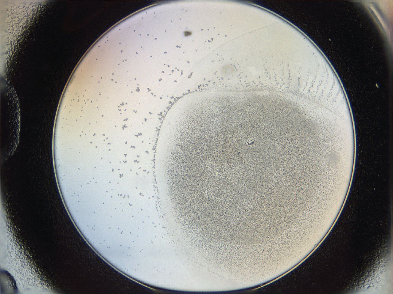 06i1_D8_ImagerDefaults_5.jpg