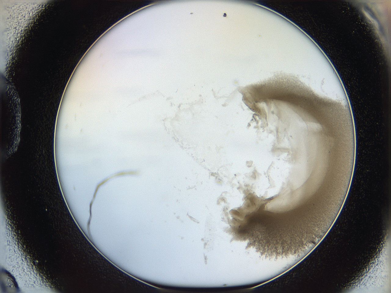 06i1_D9_ImagerDefaults_3.jpg